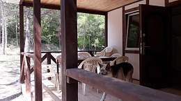 Частный сектор "НезаБудка" Частный сектор "НезаБудка"