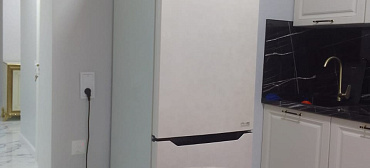 Квартира в многоквартирном доме Квартира с удобствами 