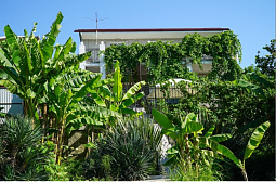 Гостевой дом "Адлерский Бриз" Гостевой дом "Адлерский Бриз"