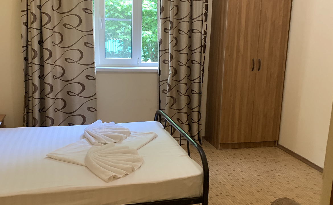 Стандарт  без балкона . Гостевой дом "Пантера". Гагра
