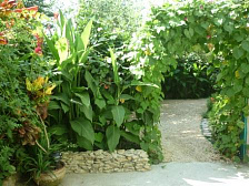 Частный сектор Таманская 135