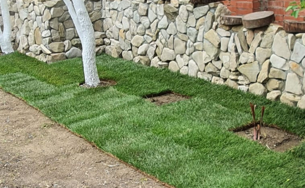 С удобствами на 2, 3, 4 и 5 человек. Гостевой дом ОРИОН. Ольгинка С удобствами на 2, 3, 4 и 5 человек. Гостевой дом ОРИОН. Ольгинка