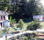 Гостевой дом Лесная прохлада