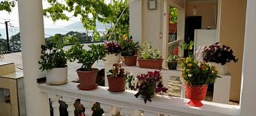 Гостевой дом "Несник" 