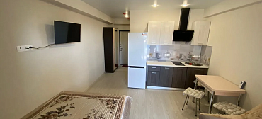 Квартира в многоквартирном доме Уютная студия на первой береговой 