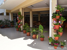 Гостевой дом "Мила" Гостевой дом "Мила"