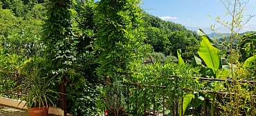 Гостевой дом Маринка