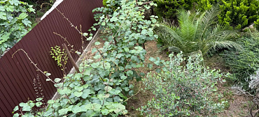 Гостевой дом оникс