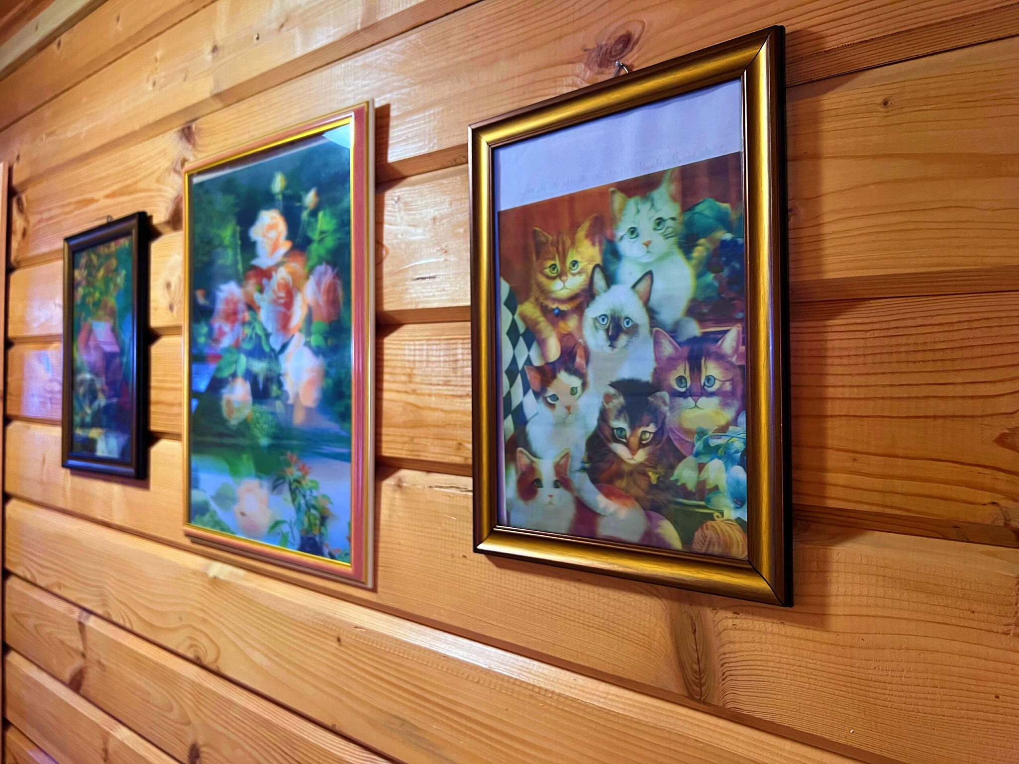 . Гостевой комплекс «Солнышно». Кабардинка