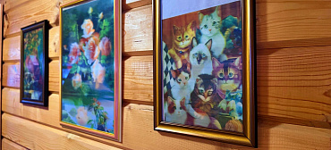 Гостевой комплекс «Солнышно»