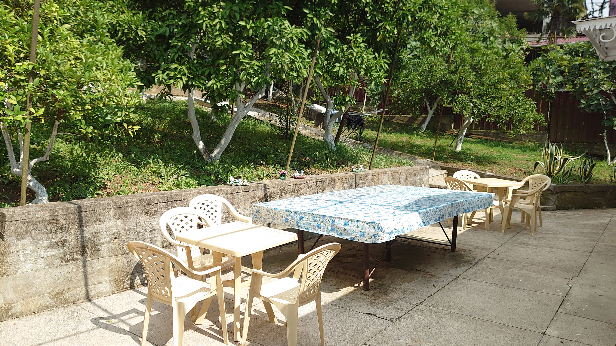 . Гостевой дом у Резеды. Гагра