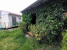 Гостевой дом "Горная лаванда" Гостевой дом "Горная лаванда"