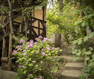Семёновский дом. База отдыха "Сосновый Бор". 