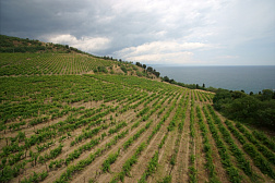 Вилла «Виола»