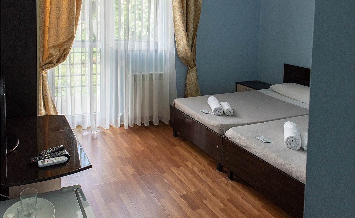 Стандартный номер с 2 раздельными кроватями и балконом. Отель "Ниагара Фоллс". Сочи