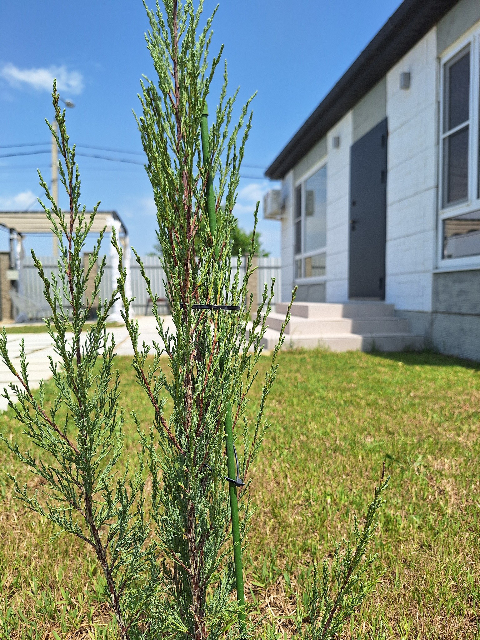 . Коттедж Коттедж Скандинавия Анапа . Анапа