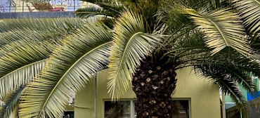 Гостиница "Пижама"  Гостиница "Пижама"