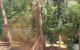 Частный сектор Сахар Частный сектор Сахар