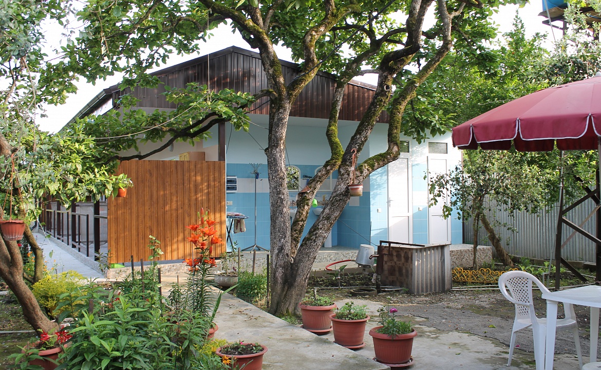 стандарт. Гостевой дом Золотая Рыбка - Гагра. Гагра