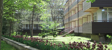 Учебно-оздоровительная база «Горизонт»    