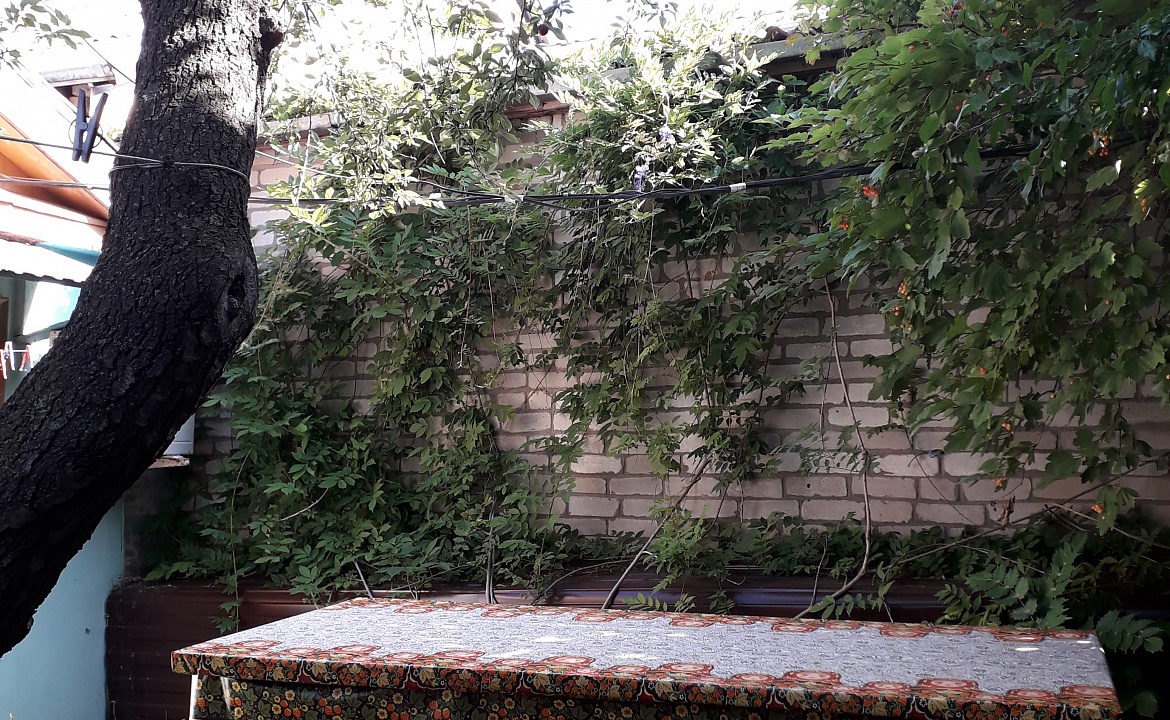 5ти местный выгодный ЭКОНОМ. Гостевой дом МОРЕ с бассейном и баней. Джубга