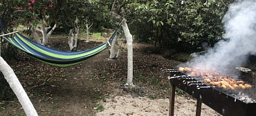 Гостевой дом Олеандр