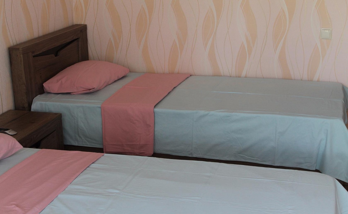 стандарт. Гостевой дом Золотая Рыбка - Гагра. Гагра