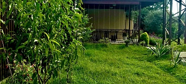 Гостевой дом "Оазис"