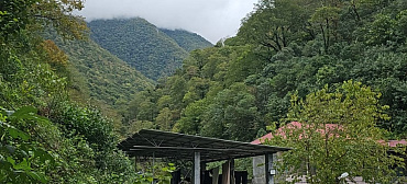 Гостевой дом "Пантера"