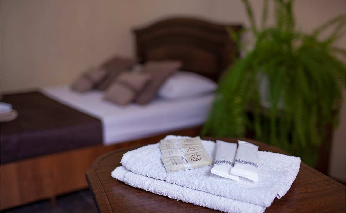 Стандарт двухместный с креслом. Гостевой дом «Алоиза». Лоо