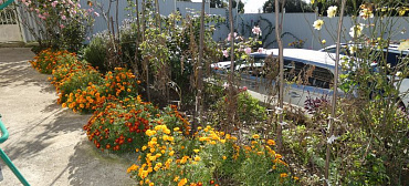 Частный сектор  Братьев Джинджолия 36 