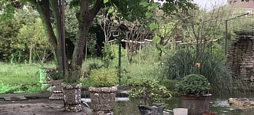 Частный сектор "Радонежъ"