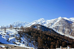 Отель «Приют Панды»