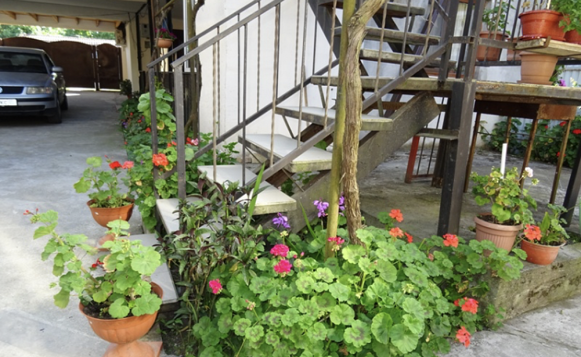 Трёхместный . Частный сектор Гостевой дом «Соломон». Сухум