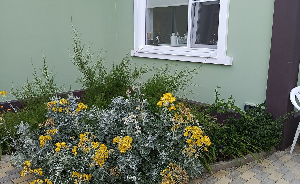 Лето. Частный сектор У тети Аси. За Родину