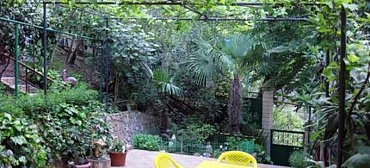 Частный сектор "Райский уголок" - Хоста