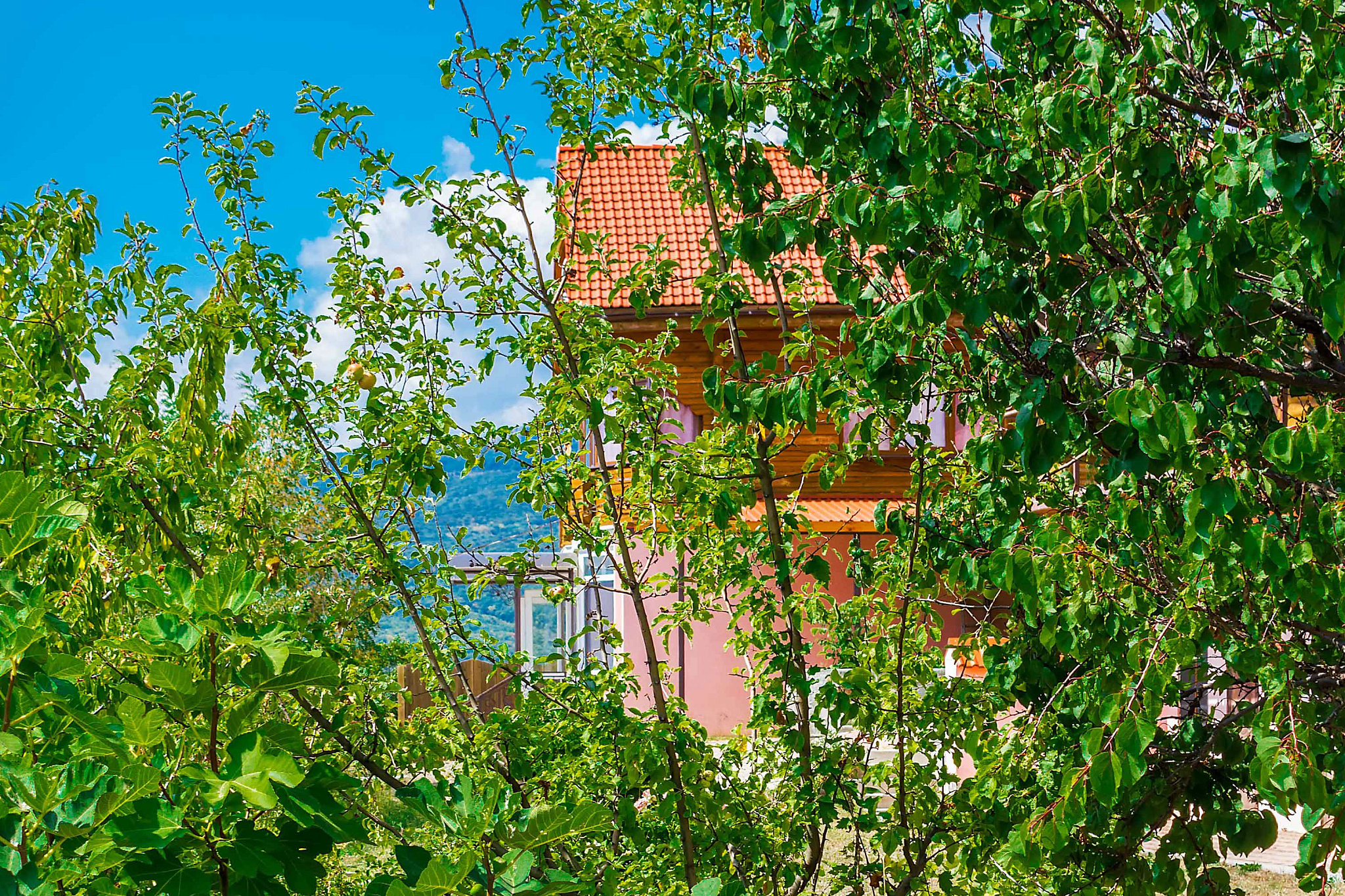 . Гостевой дом "Горная Антавия". Лучистое