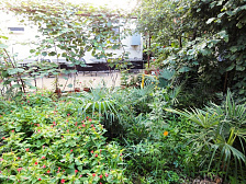 Частный сектор "Дом у моря" - Лазаревское