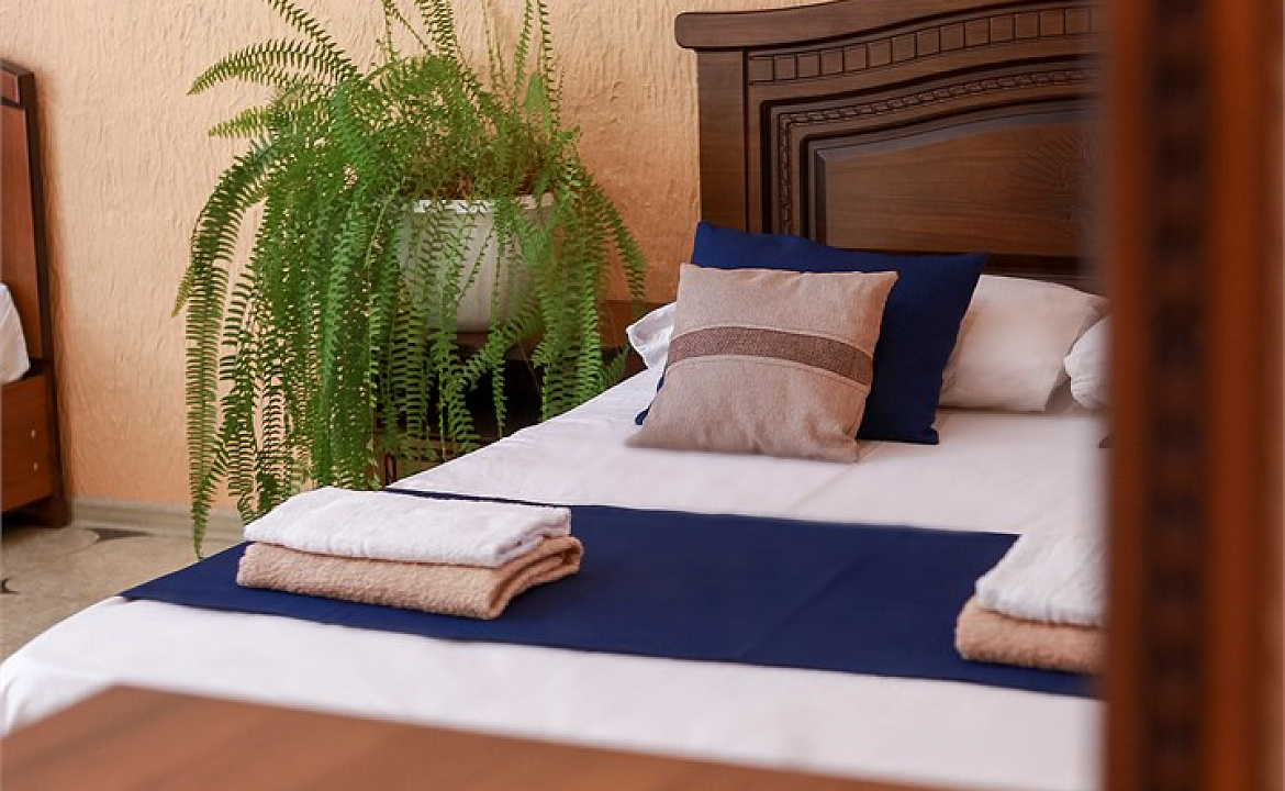 Комфорт трехместный. Гостевой дом «Алоиза». Лоо