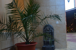 Гостиница "СемьЯ"