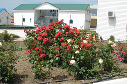 Пансионат Малахит - Благовещенская