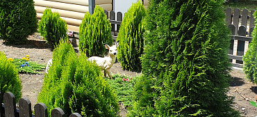 Гостевой дом У Татьяны