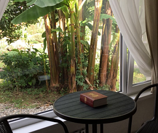  Апартаменты. Гостиница «Святая Абхазия». 