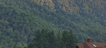 Апарт-отель "Благодарный круглый год"