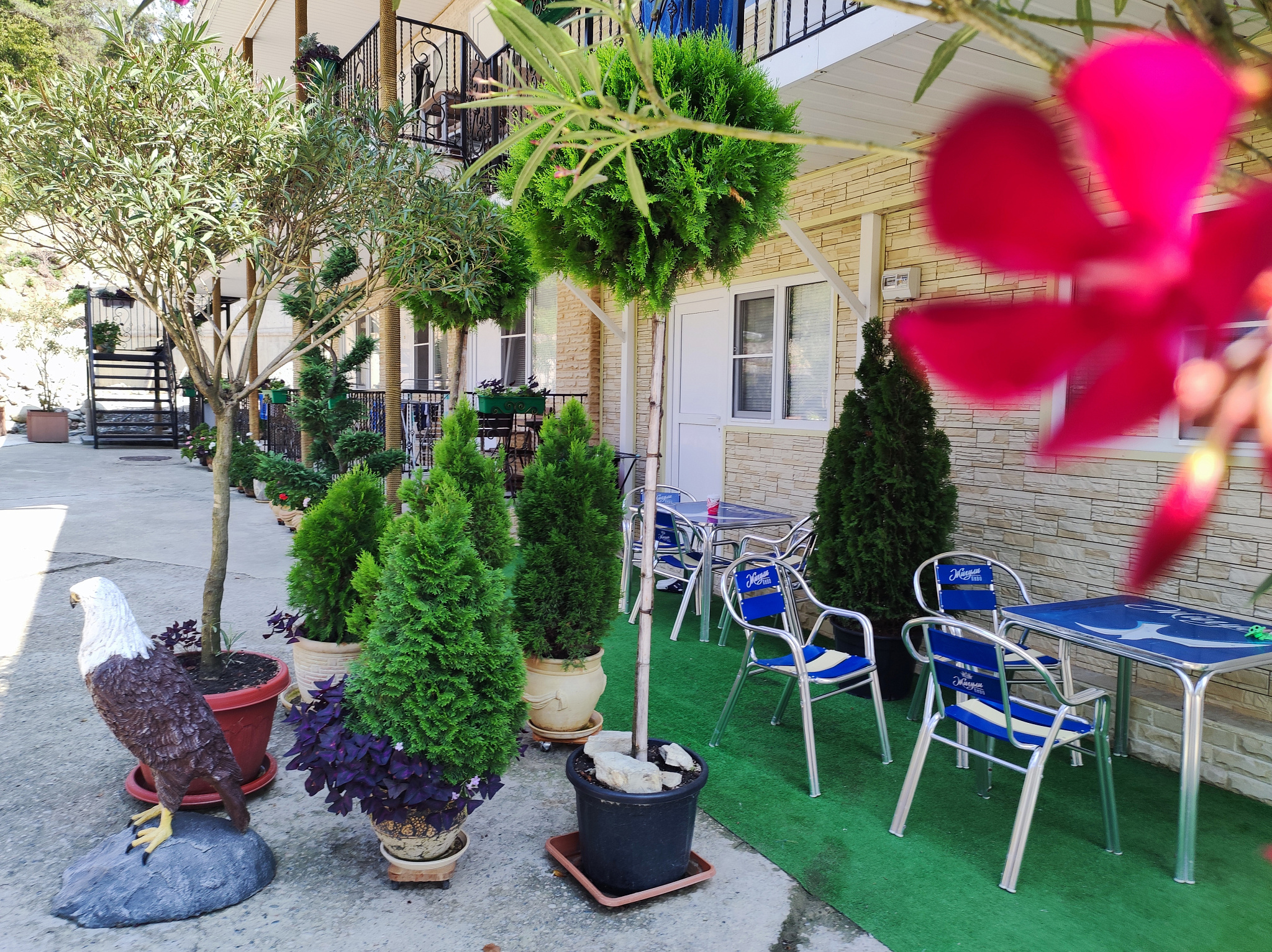 . Гостевой дом "Уда-ча". Лазаревское . Гостевой дом "Уда-ча". Лазаревское