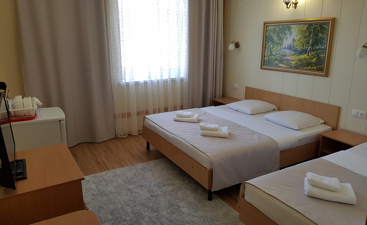 Полулюкс с общим балконом 3хместный. Отель АСТОН. Нижнее Джемете