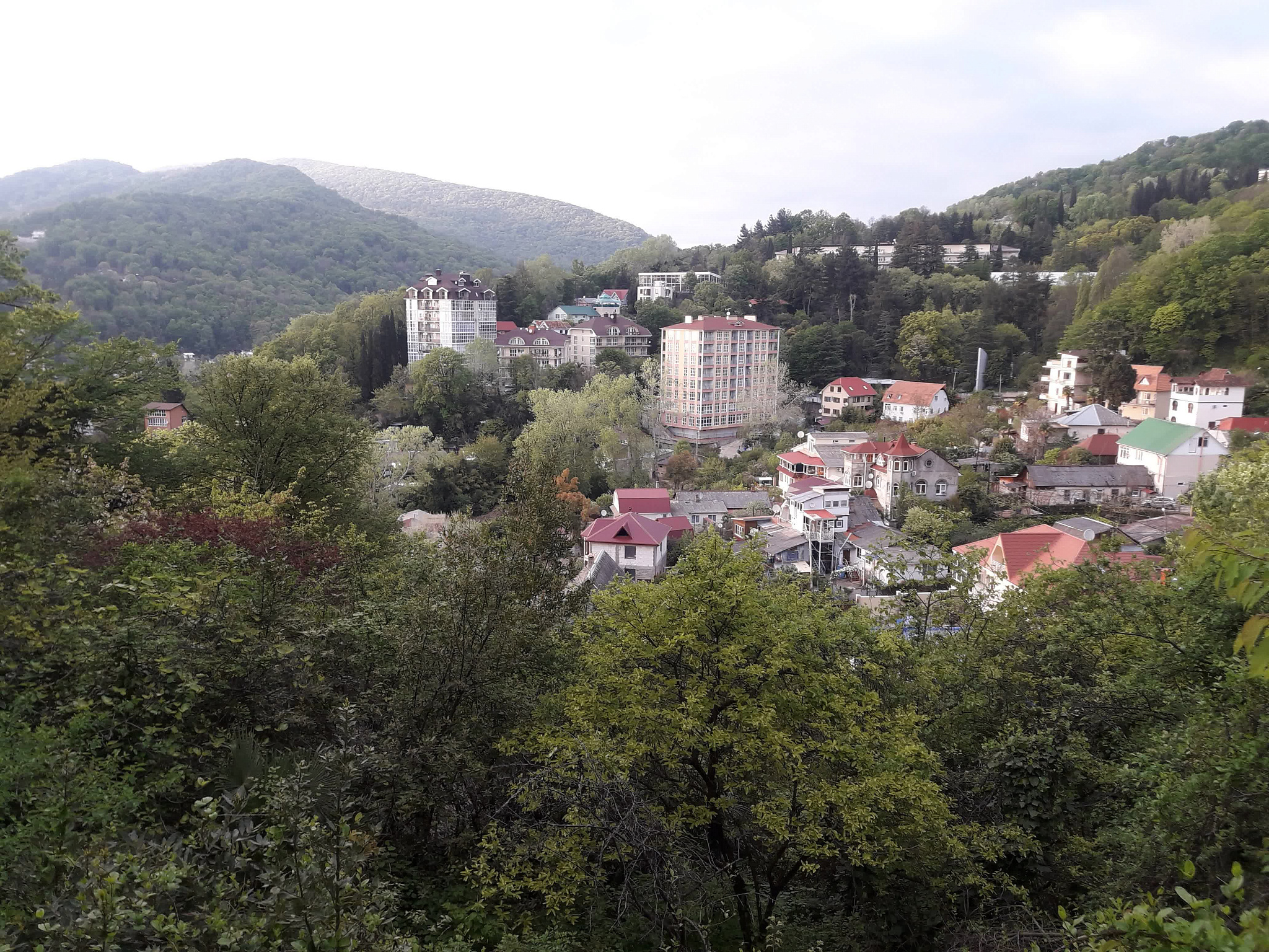 . "Квартира-студия с отдельной спальней". Хоста