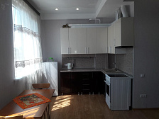 Квартира в многоквартирном доме Станиславского 11 Квартира в многоквартирном доме Станиславского 11