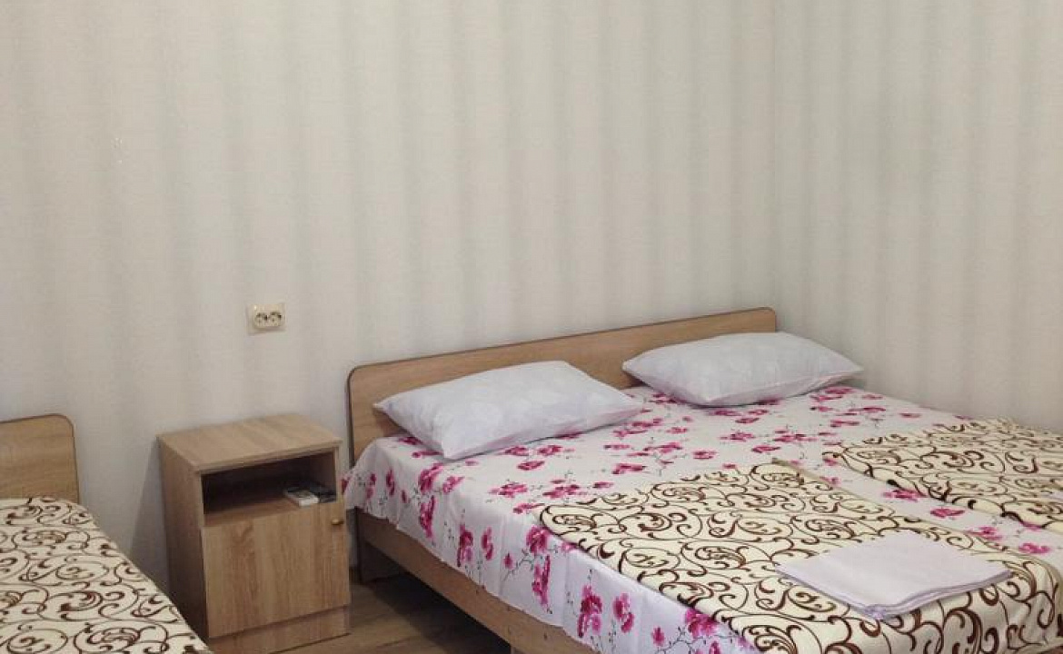 3-х местный номер. Гостевой дом Надежда в Гаграх. Гагра