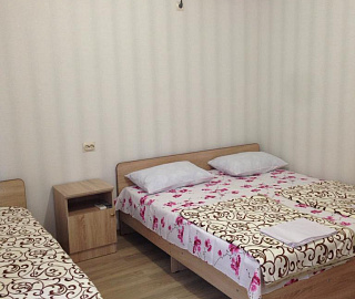 3-х местный номер. Гостевой дом Надежда в Гаграх. 